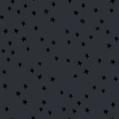 Starry 2025 Charcoal RS4109 91 - Ruby Star Society Sold by the Half Yard